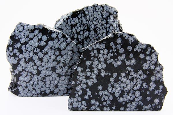 ���֤��С۸��а����᤭ ���Ρ��ե쥤�� ��DM�ء��ͥ��ݥ��ԲĢ�