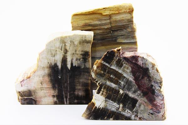 ���֤��С۸��а����᤭ ������ ��DM�ء��ͥ��ݥ��ԲĢ�