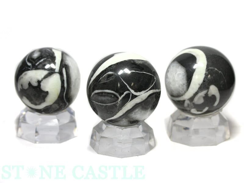 �����ʼ������֤��С۴ݶ� ������ ��40mm ��DM�ء��ͥ��ݥ��ԲĢ�