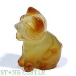 ��Ħ����ʪ�ۤ��¤긤 �Ƽ�