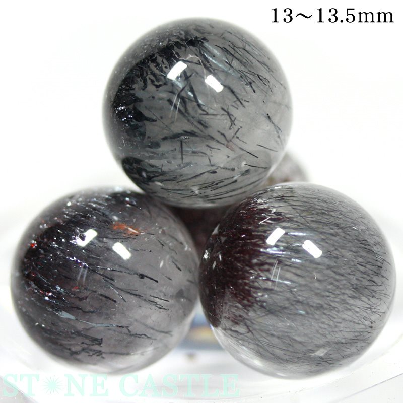 �ڴݥӡ����ۥ֥롼�����ѡ����֥� (�ǹ��) [1γ���(�Х����)]