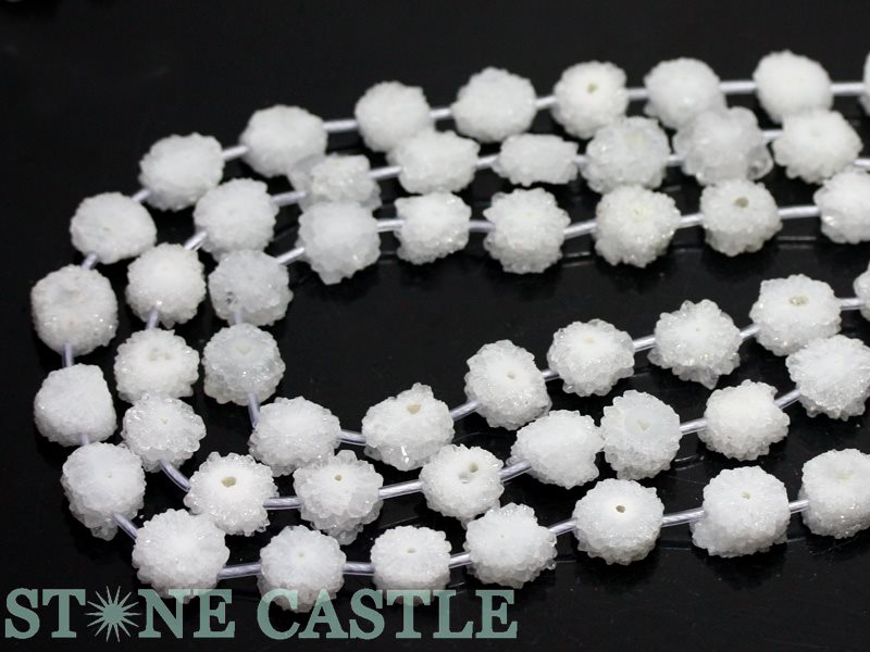 �ڥ��åȥӡ����ۿ徽 �ɥ��롼���� �ե� (��)