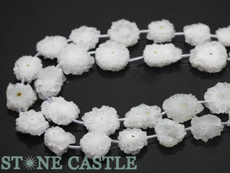 �ڥ��åȥӡ����ۿ徽 �ɥ��롼���� �ե� (��)