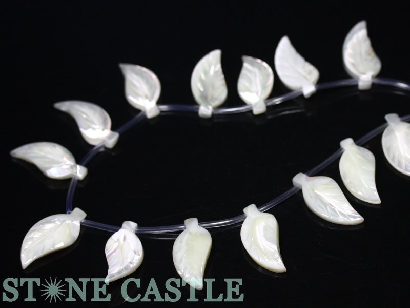 ڥåȥӡۥޥ֥ѡ ꡼շ