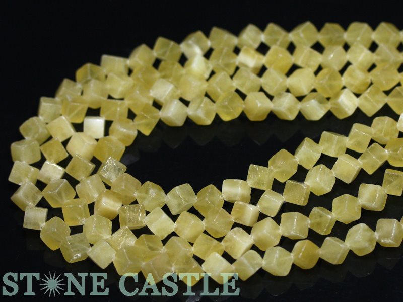 �ڥ��åȥӡ����ۥ��饴�ʥ��� ���塼�ַ� 6mm