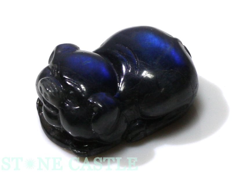 ����ʪ����ʪ����Ħ����ʪ��ʡ�� ����åĥ����֥�å���֥�ɥ饤�� No.02