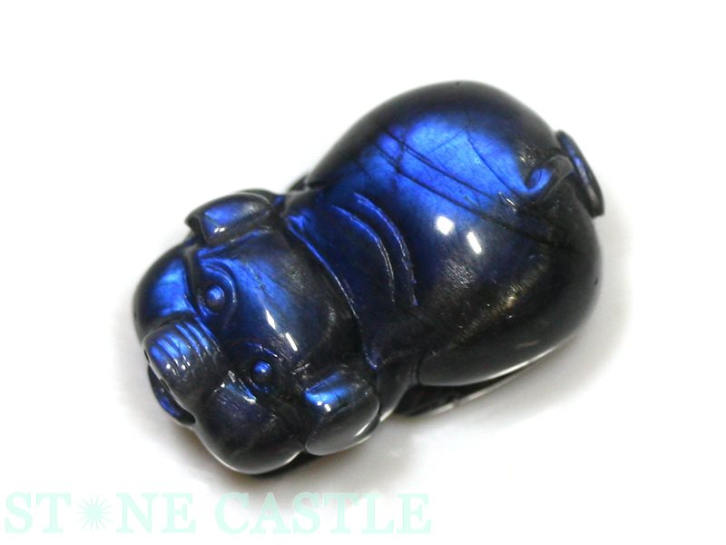 ����ʪ����ʪ����Ħ����ʪ��ʡ�� ����åĥ����֥�å���֥�ɥ饤�� No.03