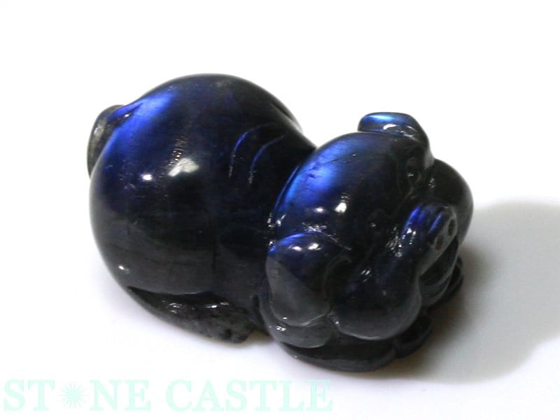 ����ʪ����ʪ����Ħ����ʪ��ʡ�� ����åĥ����֥�å���֥�ɥ饤�� No.04