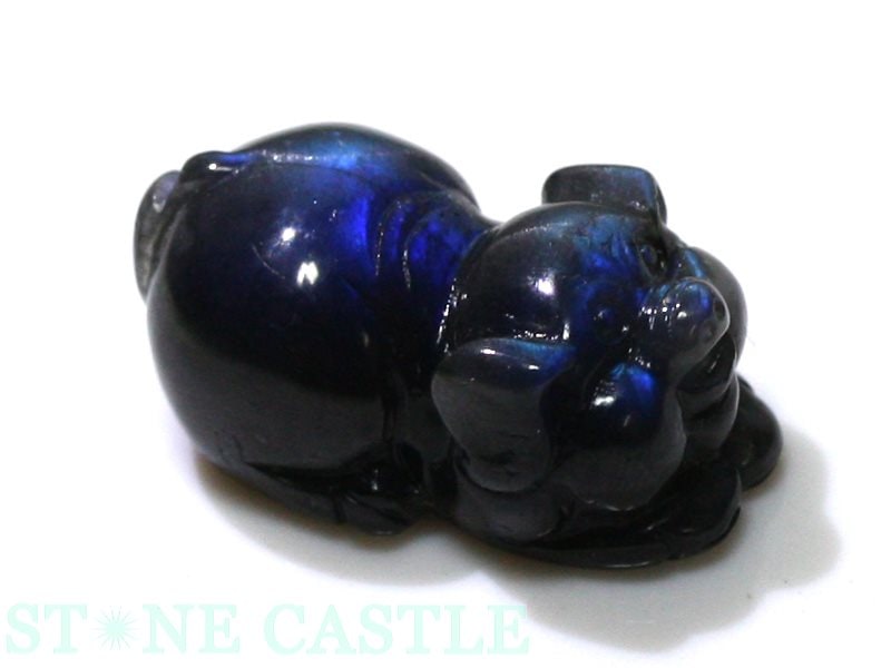 ����ʪ����ʪ����Ħ����ʪ��ʡ�� ����åĥ����֥�å���֥�ɥ饤�� No.06