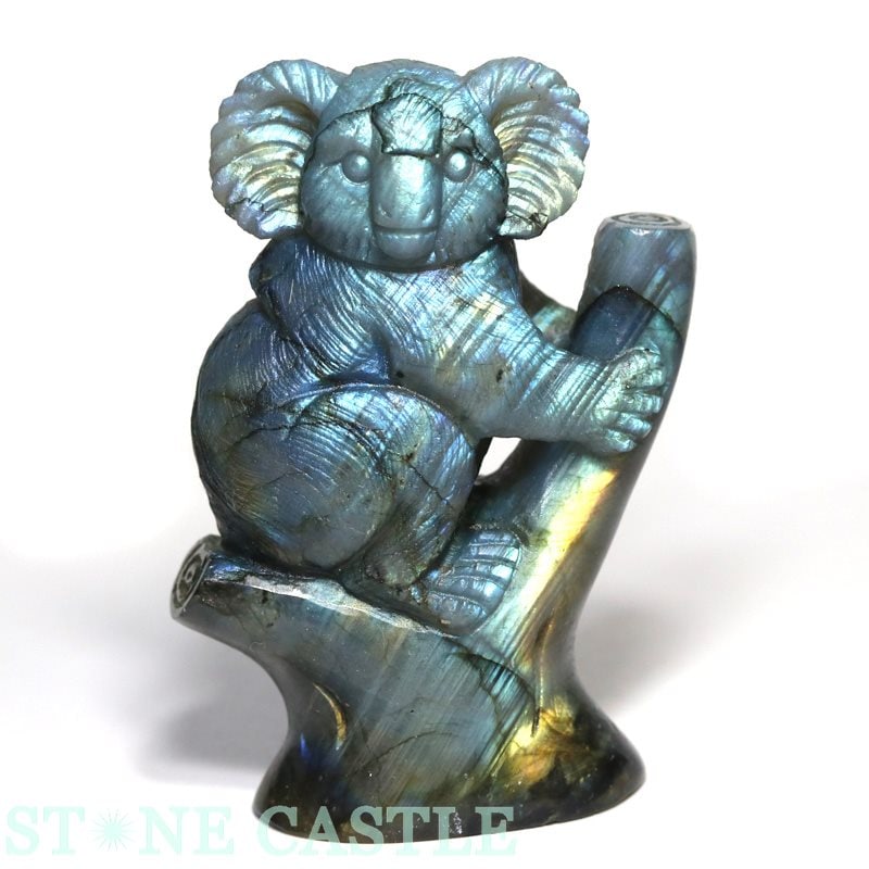 ����ʪ����ʪ����Ħ����ʪ�ۥ����� ��֥�ɥ饤�� No.01