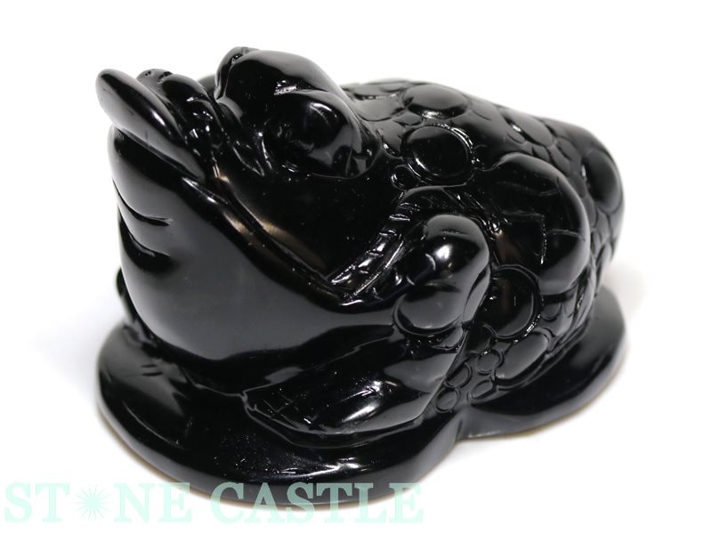 ��Ħ����ʪ������ ���֥��ǥ�����(������)