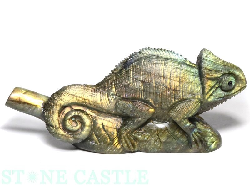 ����ʪ����ʪ����Ħ����ʪ�ۥ���쥪�� ��֥�ɥ饤�� No.13