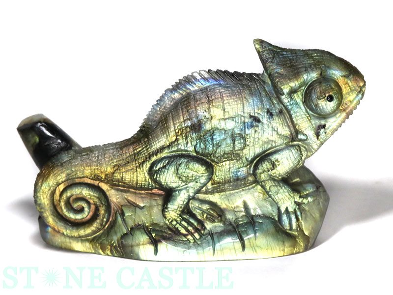 ����ʪ����ʪ����Ħ����ʪ�ۥ���쥪�� ��֥�ɥ饤�� No.15