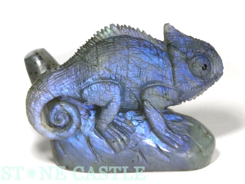 ����ʪ����ʪ����Ħ����ʪ�ۥ���쥪�� ��֥�ɥ饤�� No.29