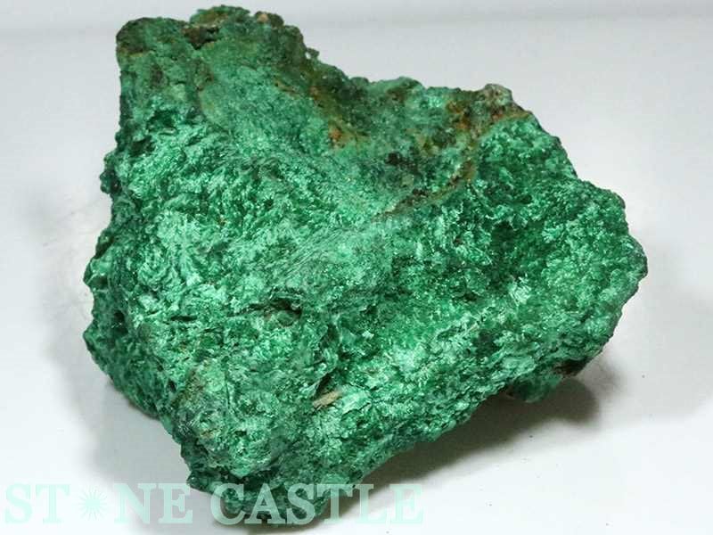 аʪڸСۥޥ饫ȥ쥯 No.10