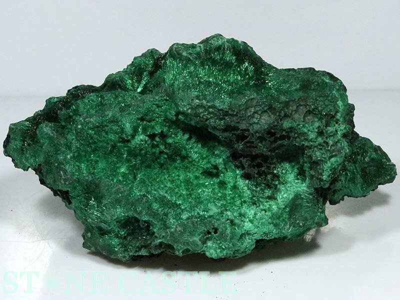 аʪڸСۥޥ饫ȥ쥯 No.11