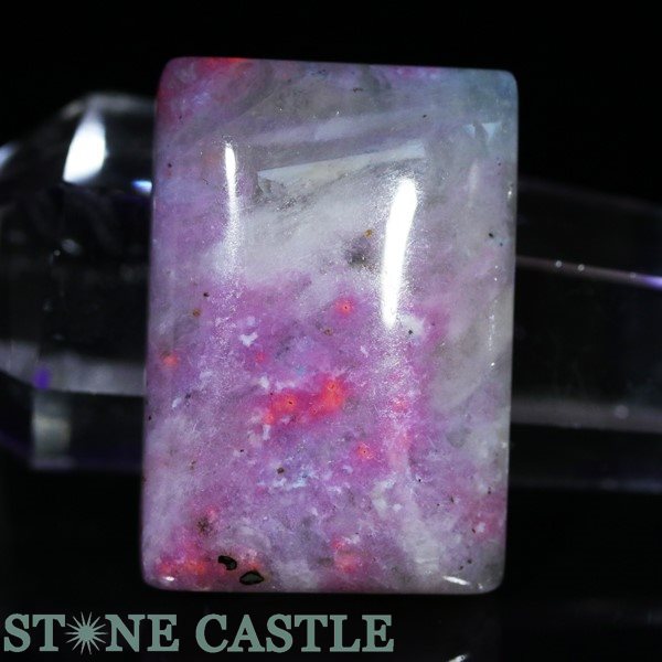 �����а���ʪ�����֤��Сۥ롼�� �ϥå��ޥʥ��� (5A) No.09