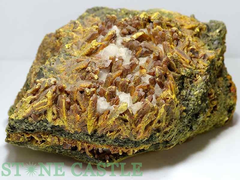 �����а���ʪ���ڸ��Сۥ����ԥ��� (�ڥ롼��) No.01