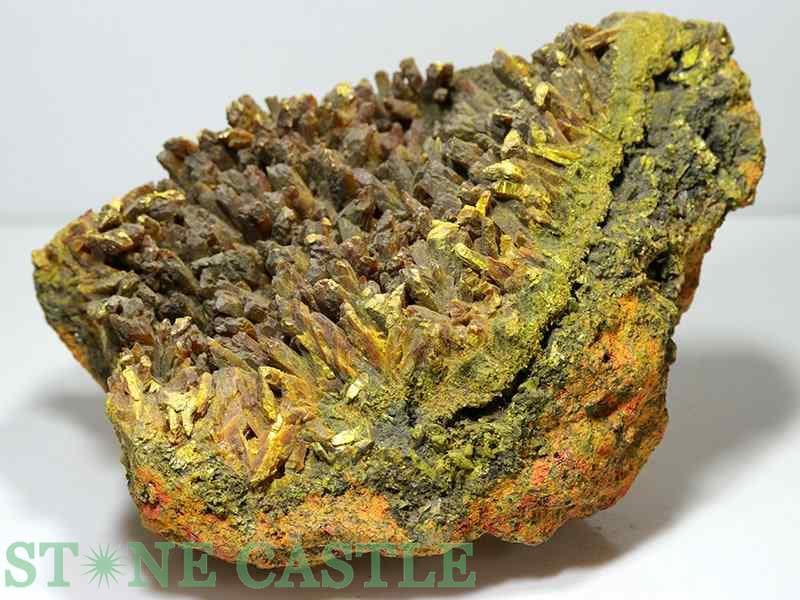 �����а���ʪ���ڸ��Сۥ����ԥ��� (�ڥ롼��) No.02