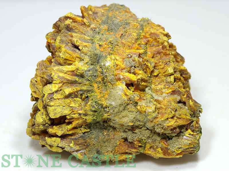 �����а���ʪ���ڸ��Сۥ����ԥ��� (�ڥ롼��) No.04