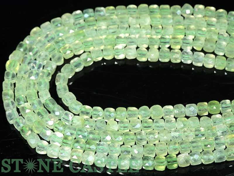 �ڥ��åȥӡ����ۥץ�ʥ��� ���塼�ַ����å� 4mm