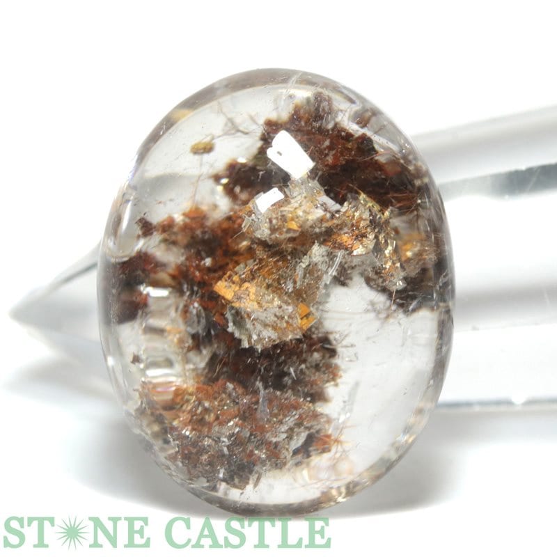 аʪ֤Сۥ롼 ǥ륯 No.11