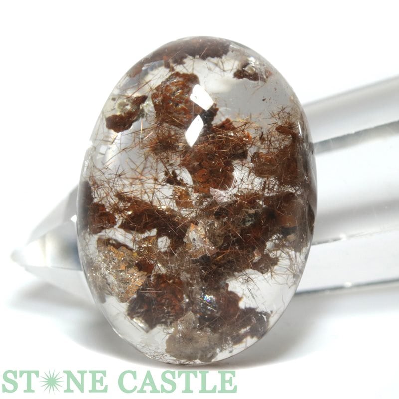 аʪ֤Сۥ롼 ǥ륯 No.13