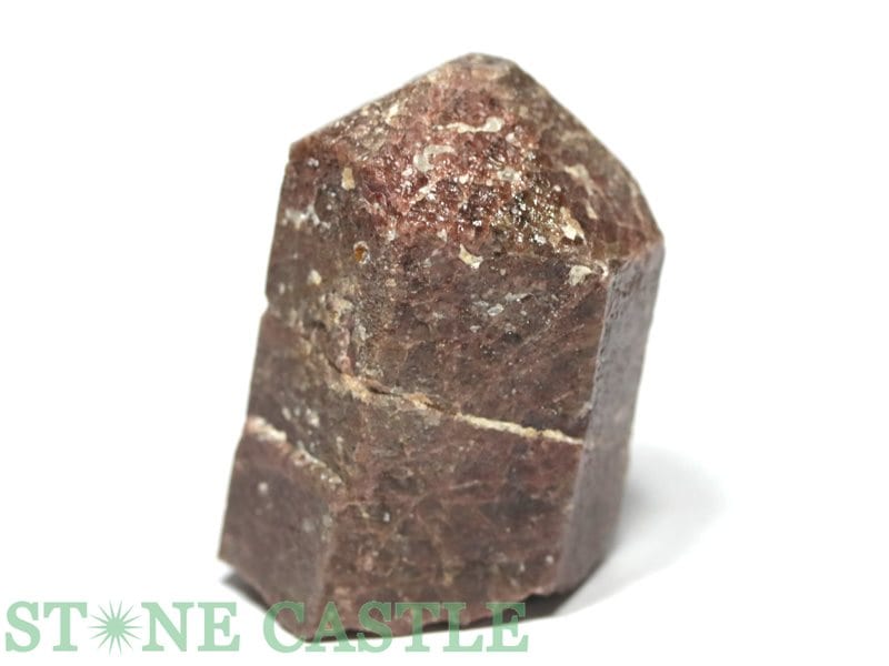 �����а���ʪ���ڸ��Сۥ��ѥ����� (���ʥ���) No.11