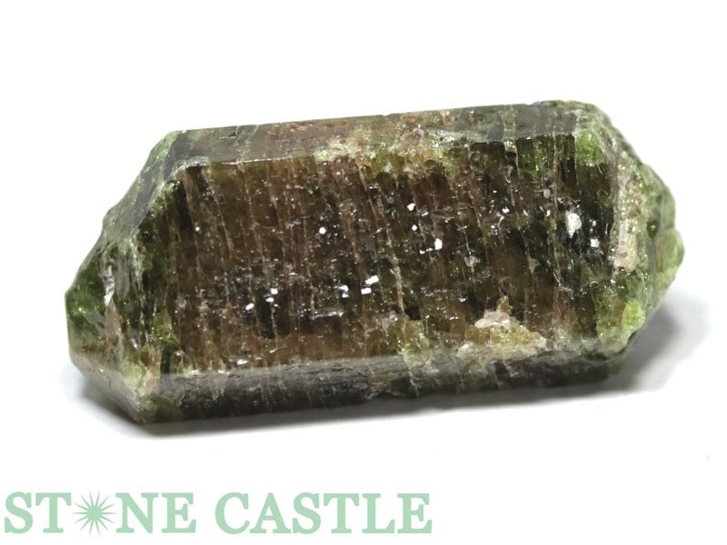 �����а���ʪ���ڸ��Сۥ��ѥ����� (���ʥ���) No.13