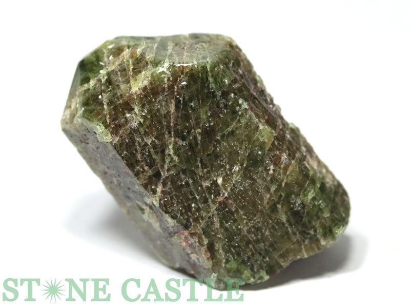 �����а���ʪ���ڸ��Сۥ��ѥ����� (���ʥ���) No.14