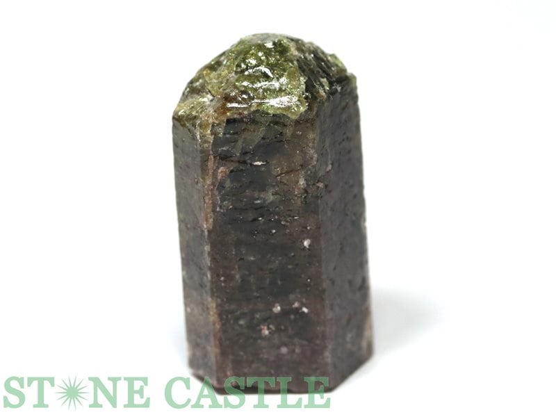 �����а���ʪ���ڸ��Сۥ��ѥ����� (���ʥ���) No.18