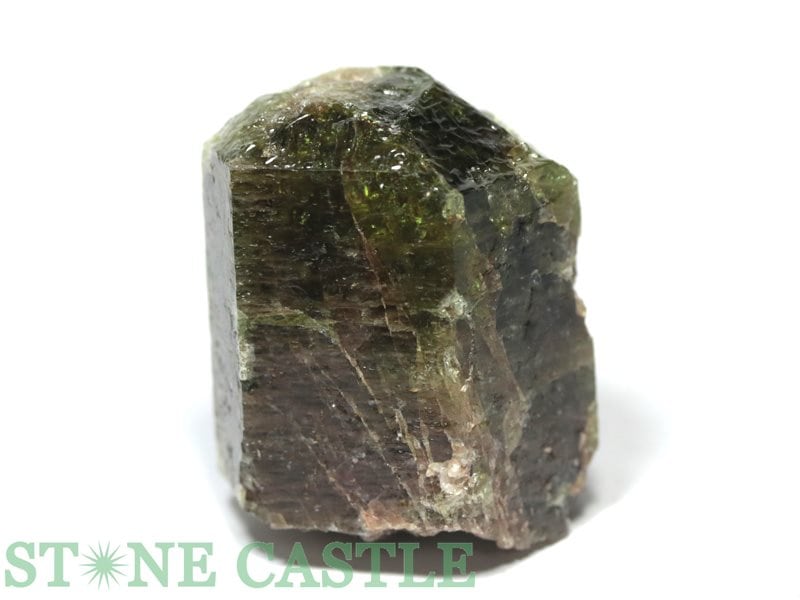 �����а���ʪ���ڸ��Сۥ��ѥ����� (���ʥ���) No.19