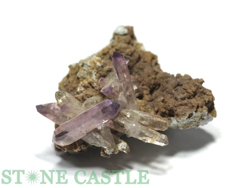 �����а���ʪ���ڸ��Сۥ٥饯�륹���᥸���� ���饹���� (�ᥭ������) (��) No.58