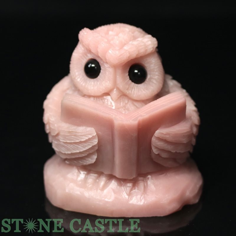 ����ʪ����ʪ����Ħ����ʪ�ۤդ����� �ԥ󥯥��륯 No.16