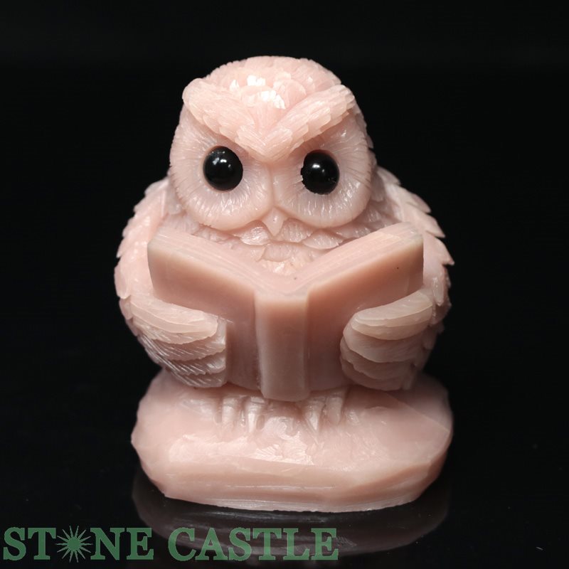 ����ʪ����ʪ����Ħ����ʪ�ۤդ����� �ԥ󥯥��륯 No.19