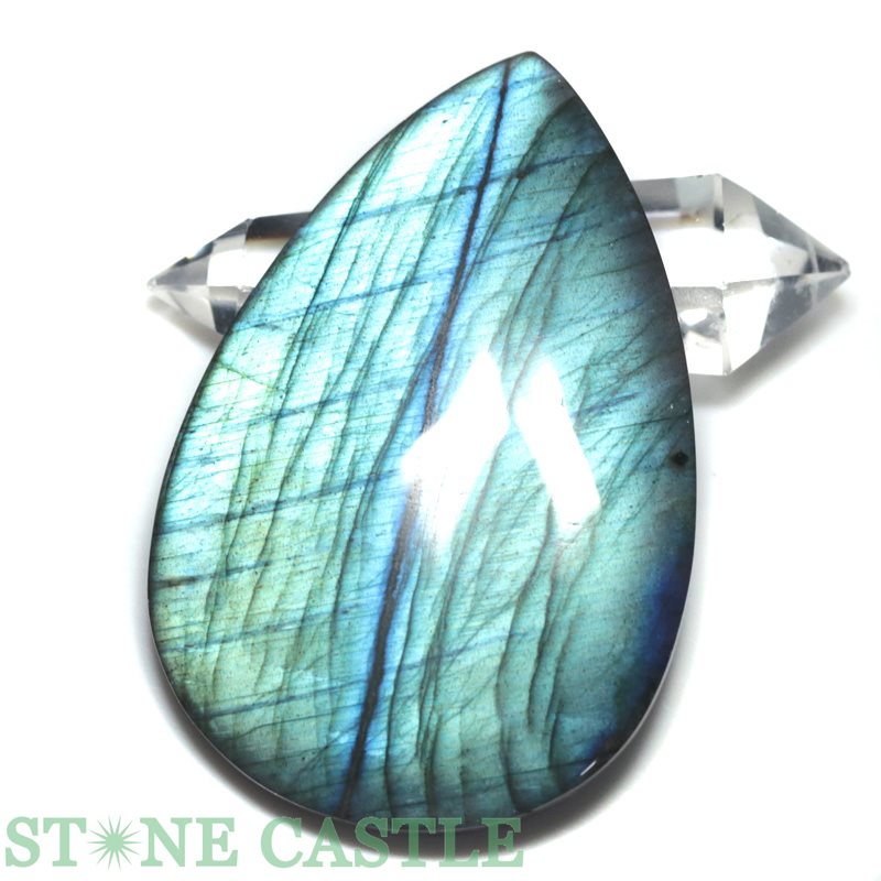 �����а���ʪ�����֤��Сۥ롼�� ��֥�ɥ饤�� (3A) No.26