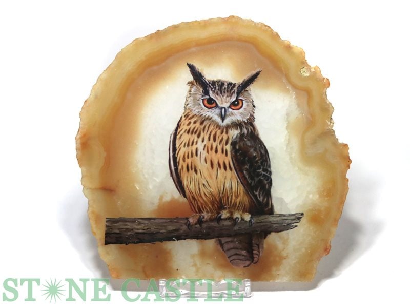 ʼ֤СۥΥץ졼 () դ