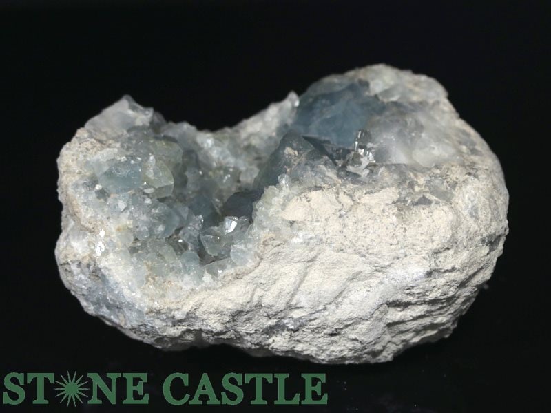 �����а���ʪ���ڸ��Сۥ��쥹������ (ST) No.03