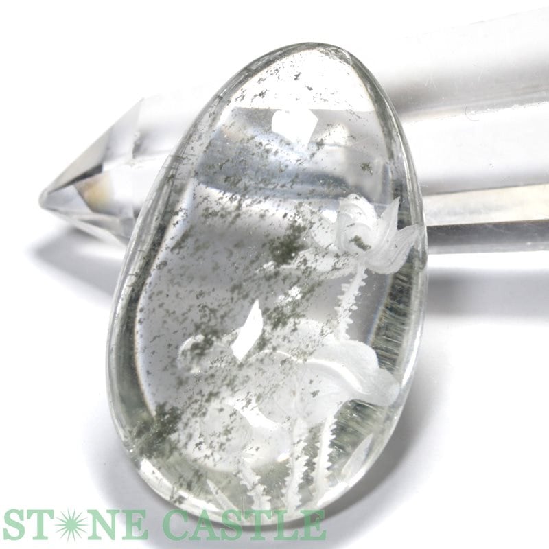 аʪ֤Сۥ롼 ǥ󥯥 ϡ ΢ĦĦ No.06