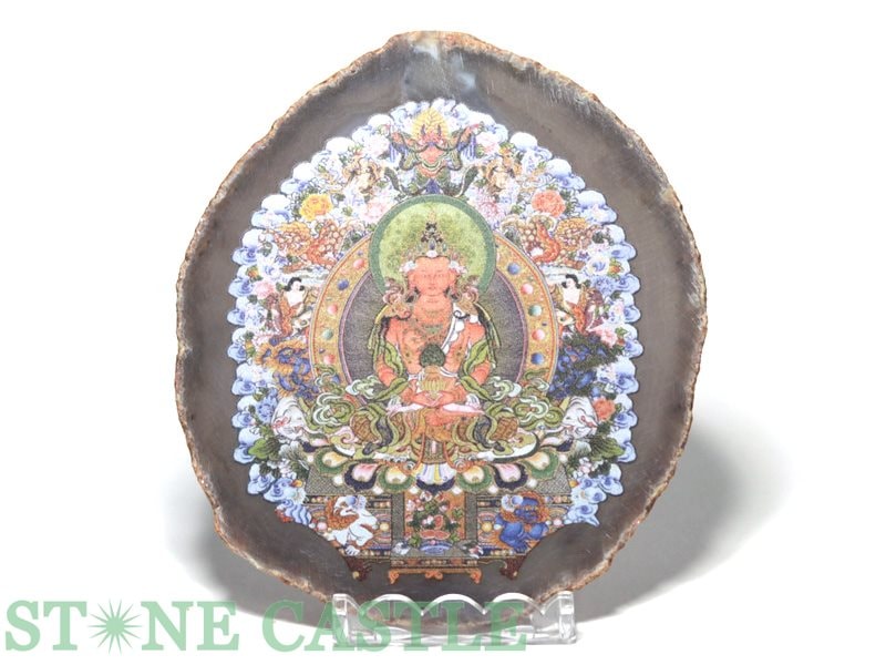 ʼ֤СۥΥץ졼 () ǡ