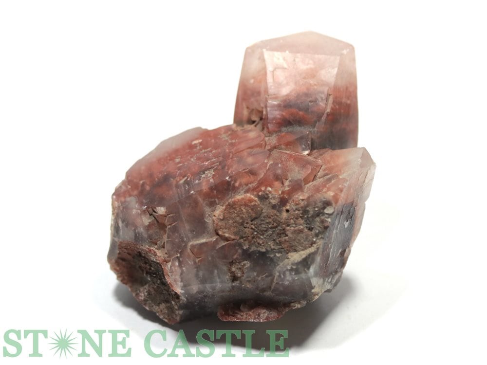 аʪڸСۥåɥեȥ५륵 No.05