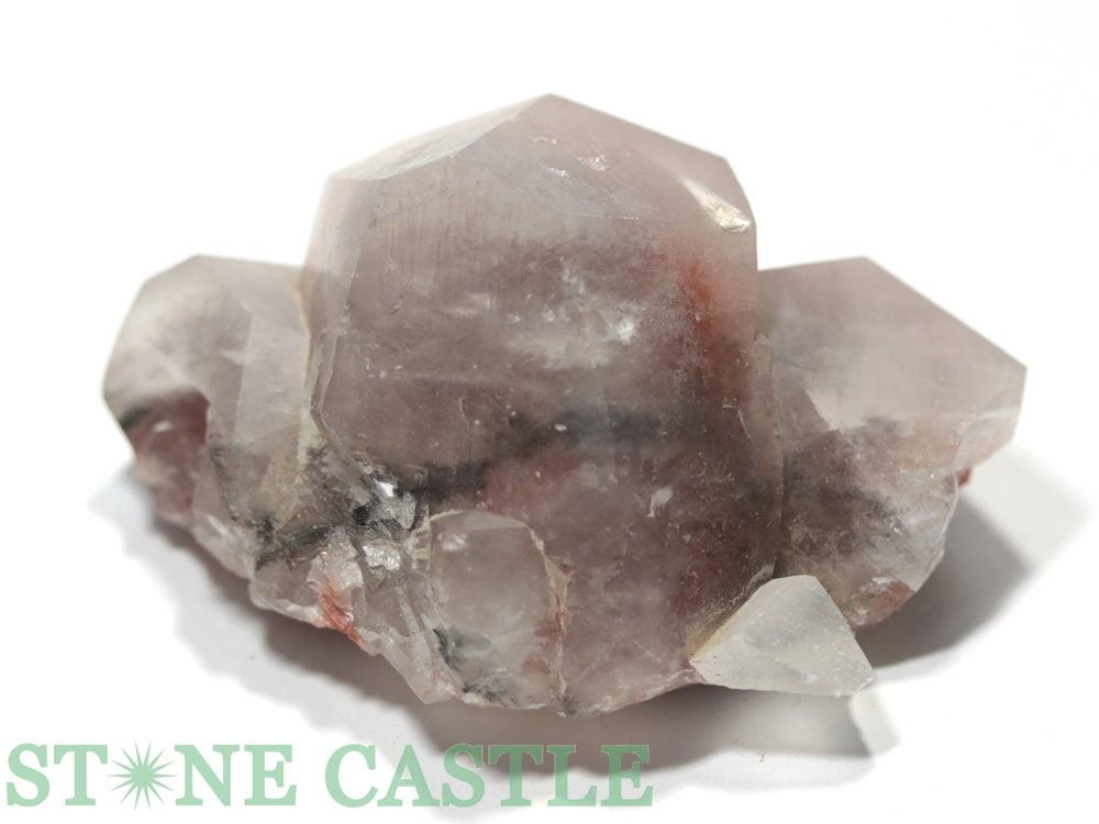 аʪڸСۥåɥեȥ५륵 No.12