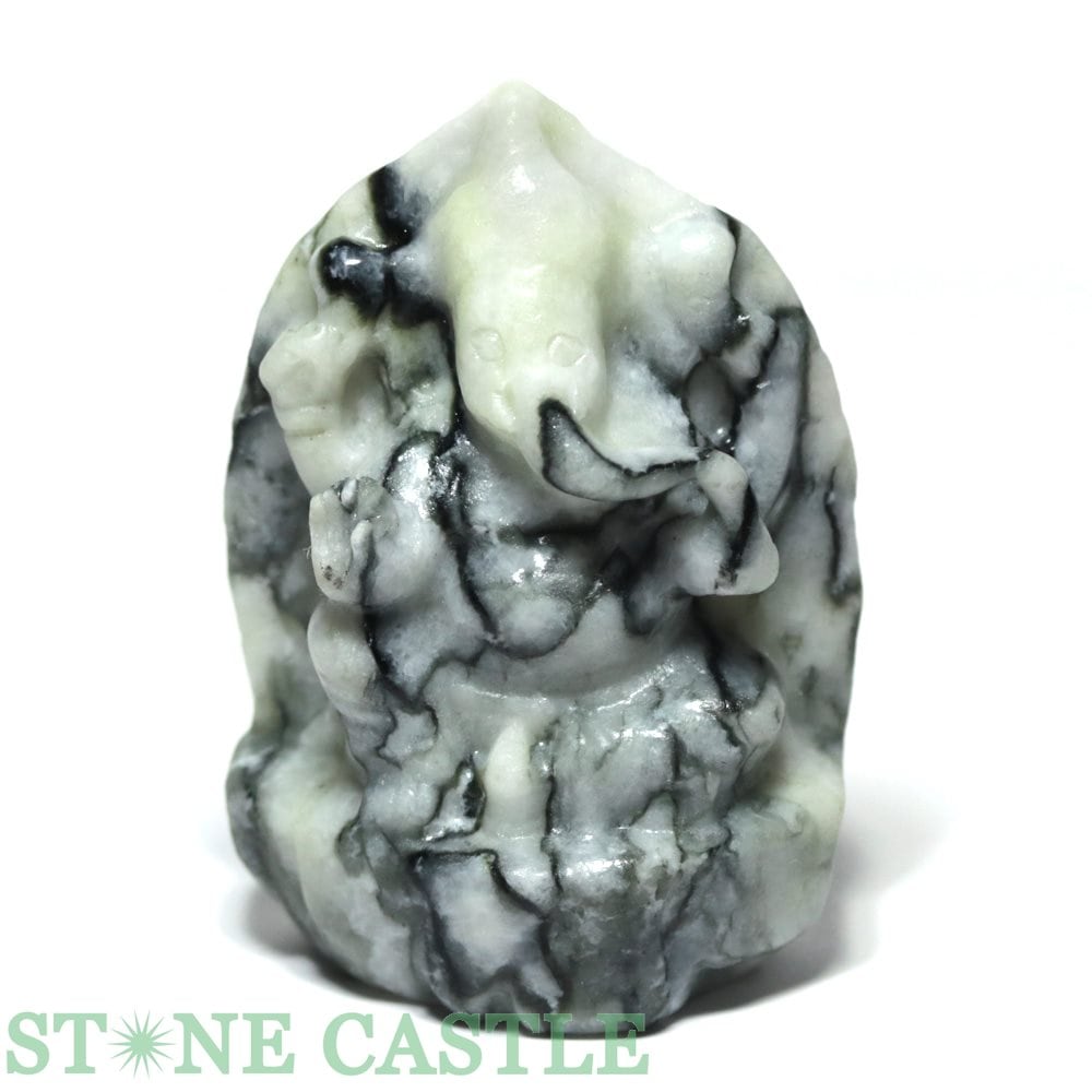 ����ʪ����ʪ����Ħ����ʪ�ۥ��͡����� ������ No.02