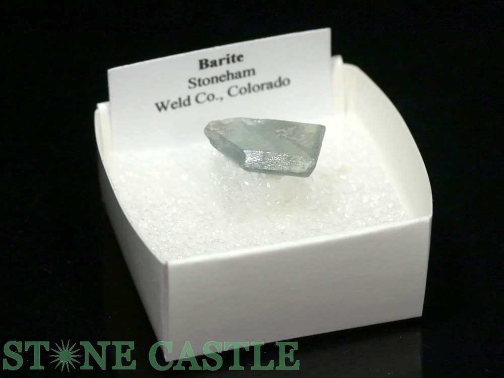 �����а���ʪ���ڸ��СۥХ饤�ȡֽž��С�(������ɻ�) (�֥롼) No.08