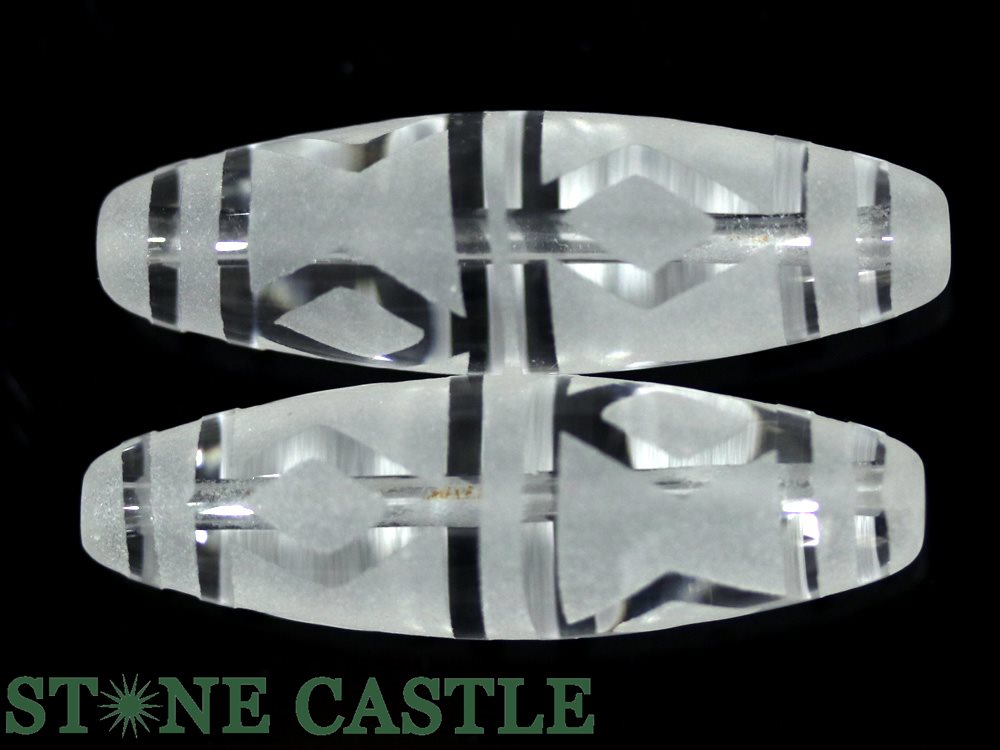 オルソセラス化石複数 片面磨き