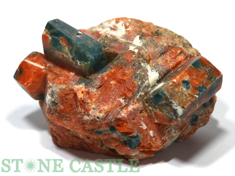 �����а���ʪ���ڸ��Сۥ��󥹥ȡ���&���ѥ����ȶ����� ���쥯����� No.10