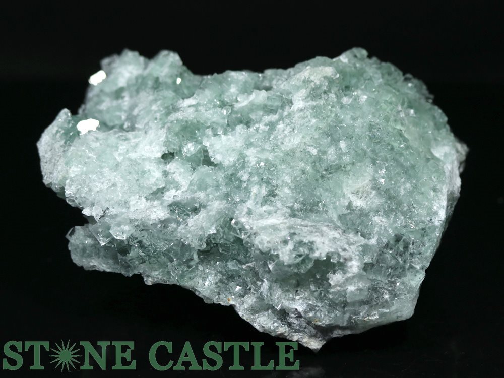 �����а���ʪ���ڸ��Сۥ��꡼��ե����饤�� ���쥯����� (EX) No.01