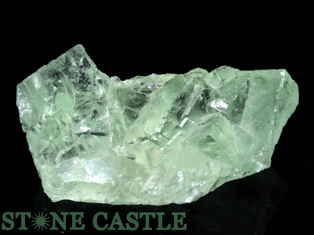 �����а���ʪ���ڸ��Сۥ��꡼��ե����饤�� ���쥯����� (EX+) No.15