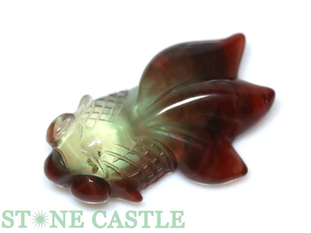 ����ʪ����ʪ����Ħ����ʪ�۶�� ���顼�����󥸥���ǥ��� (�ǹ��) No.33