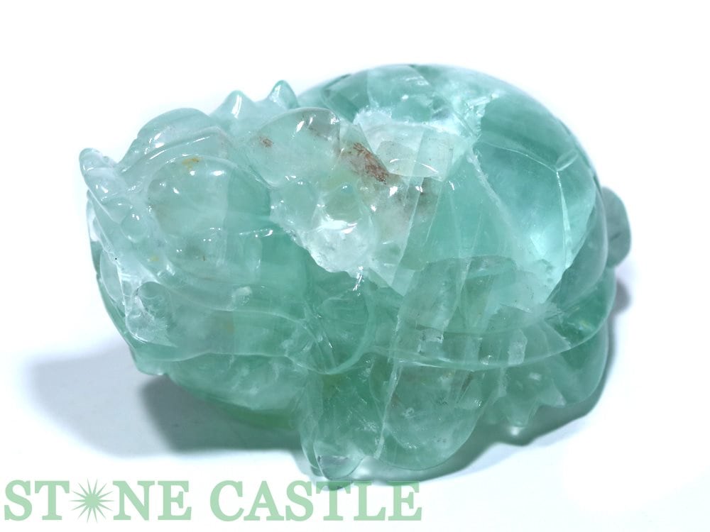 ����ʪ����ʪ����Ħ����ʪ��ζ��(���󤰤�) �ե����饤�� (EX) No.57